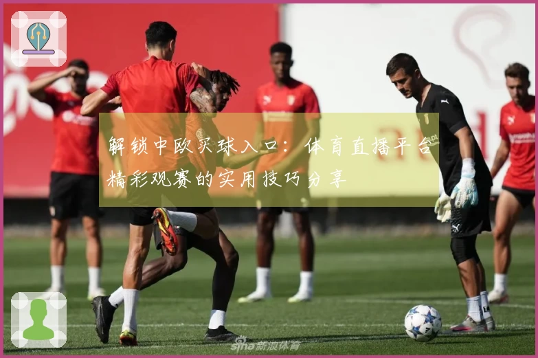 解锁中欧买球入口：体育直播平台精彩观赛的实用技巧分享