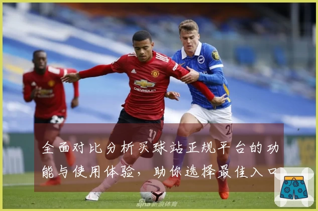 全面对比分析买球站正规平台的功能与使用体验，助你选择最佳入口