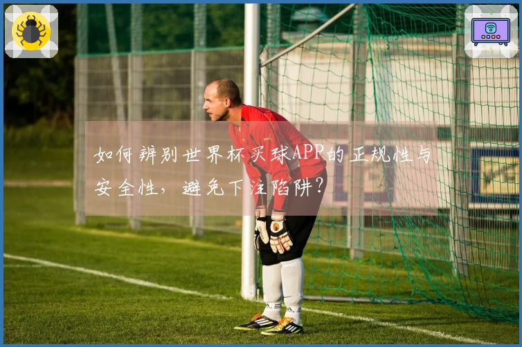 如何辨别世界杯买球APP的正规性与安全性，避免下注陷阱？