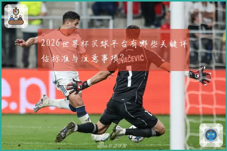 2026世界杯买球平台有哪些关键评估标准与注意事项？