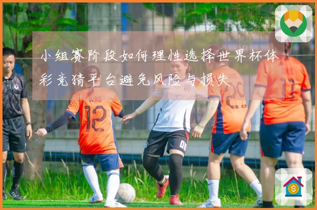 小组赛阶段如何理性选择世界杯体彩竞猜平台避免风险与损失