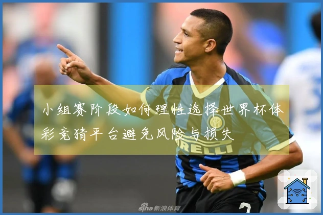 小组赛阶段如何理性选择世界杯体彩竞猜平台避免风险与损失