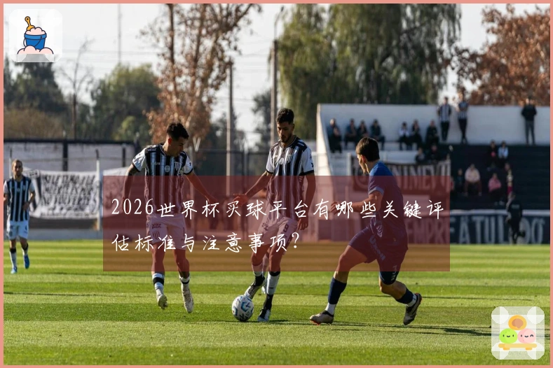 2026世界杯买球平台有哪些关键评估标准与注意事项？