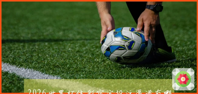 2026世界杯体彩官方投注渠道有哪些常见误区需要避免