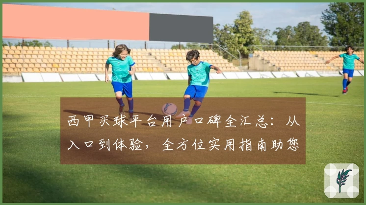 西甲买球平台用户口碑全汇总：从入口到体验，全方位实用指南助您玩转精彩赛事